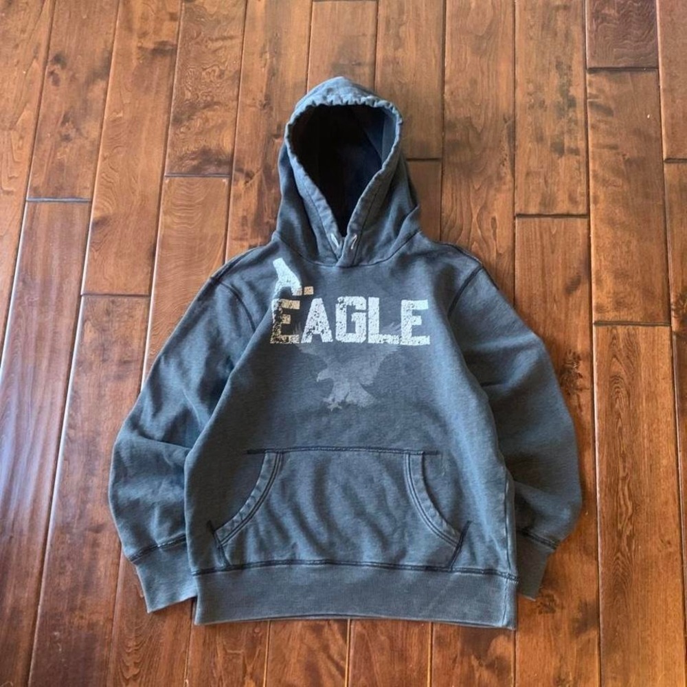 American Eagle Outfitters Eagle Graphic Pullover Hoodie